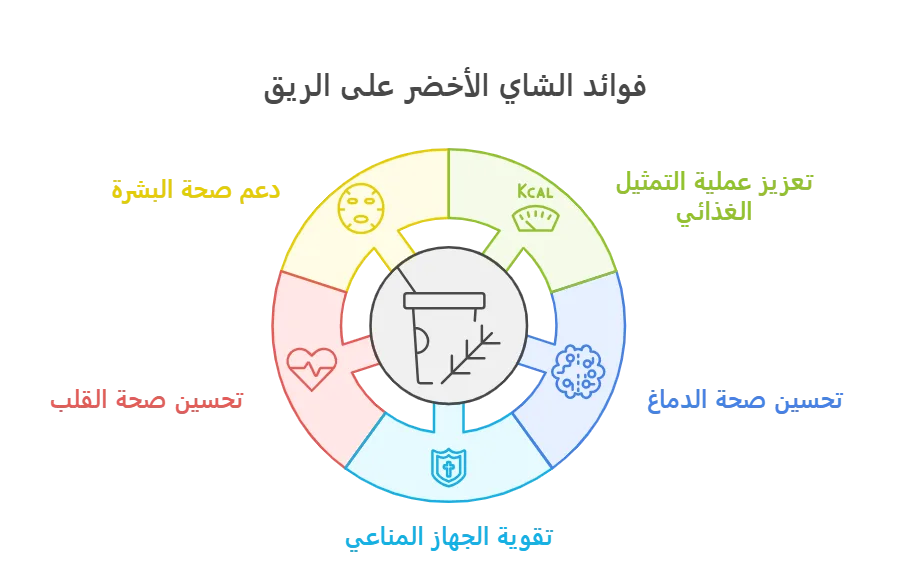 فوائد الشاي الأخضر على الريق