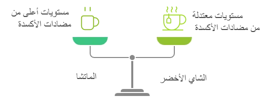 نص بديل: ميزانان متوازنان يحملان عنصرين أخضرين: شاي الماتشا على اليسار، المشهور بفوائده الغنية مثل فيتامين ب 12؛ ورمز التركيز الشديد على اليمين. (لمدونة عن الشاي)