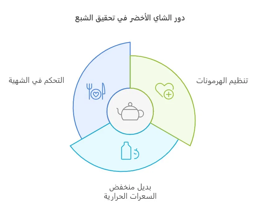 رسم توضيحي يوضح تأثير الشاي الأخضر على الشعور بالشبع: فهو يوضح تنظيم الهرمونات، والتحكم في الشهية، ووظيفته كبديل منخفض السعرات الحرارية. كما يسلط الرسم التوضيحي الضوء على فوائد الشاي. تظهر هذه الصورة على مدونة مخصصة لأفكار ومناقشات الشاي.