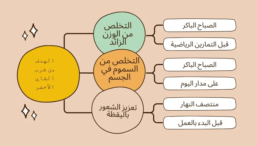 مخطط انسيابي باللغة العربية يوضح خطوات التخلص من السموم وفقدان الوزن، بما في ذلك شرب الشاي الأخضر، والأنشطة اليومية المختلفة، وتوقيتها. مصمم لمدونة عن الشاي.